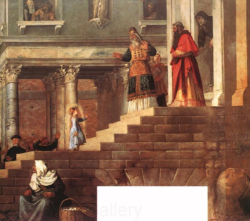 TIZIANO Vecellio Presentation of the Virgin at the Temple (detail) er France oil painting art